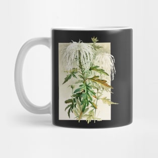 Medusa Chrysanthemum - Lunzer Mug